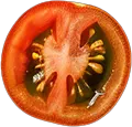 Tomate