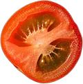 Tomate